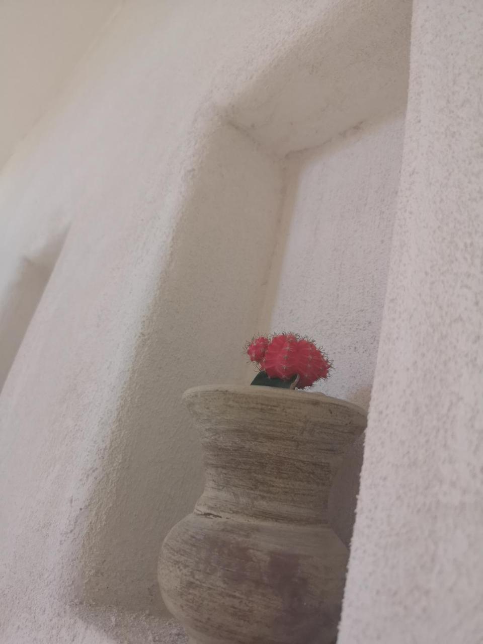 B&B Villa Rosalia Procida Zewnętrze zdjęcie