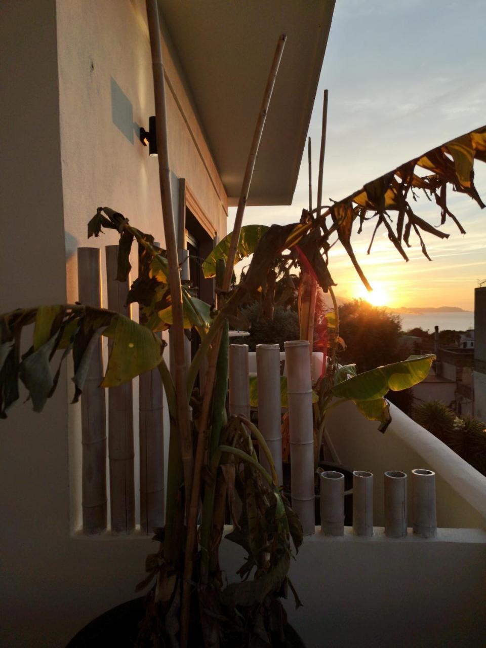 B&B Villa Rosalia Procida Zewnętrze zdjęcie