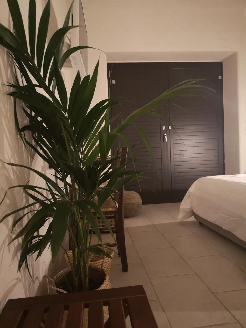 B&B Villa Rosalia Procida Zewnętrze zdjęcie