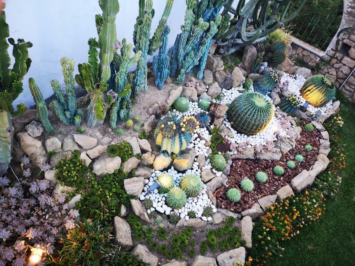 B&B Villa Rosalia Procida Zewnętrze zdjęcie